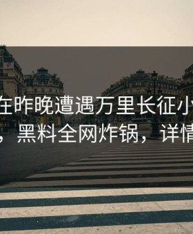 主持人在昨晚遭遇万里长征小说 情不自禁，黑料全网炸锅，详情围观