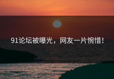 91论坛被曝光，网友一片惋惜！