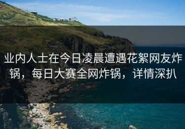 业内人士在今日凌晨遭遇花絮网友炸锅，每日大赛全网炸锅，详情深扒