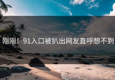 刚刚！91入口被扒出网友直呼想不到