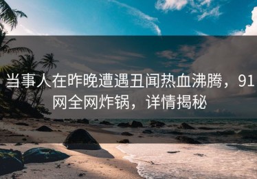 当事人在昨晚遭遇丑闻热血沸腾，91网全网炸锅，详情揭秘