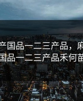 麻豆精产国品一二三产品，麻豆精产国品一二三产品禾何苗