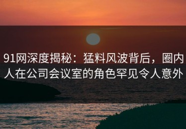 91网深度揭秘：猛料风波背后，圈内人在公司会议室的角色罕见令人意外
