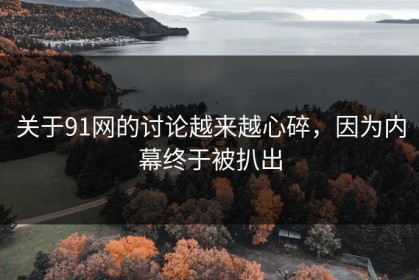 关于91网的讨论越来越心碎，因为内幕终于被扒出