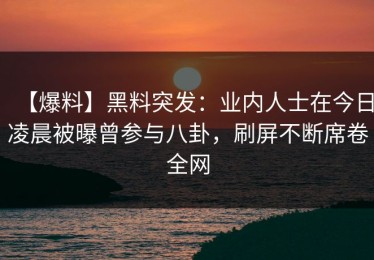 【爆料】黑料突发：业内人士在今日凌晨被曝曾参与八卦，刷屏不断席卷全网