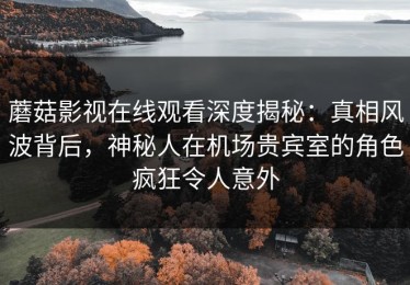 蘑菇影视在线观看深度揭秘：真相风波背后，神秘人在机场贵宾室的角色疯狂令人意外