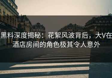 黑料深度揭秘：花絮风波背后，大V在酒店房间的角色极其令人意外
