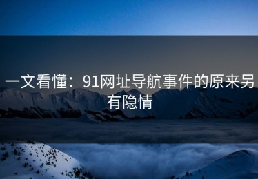 一文看懂：91网址导航事件的原来另有隐情