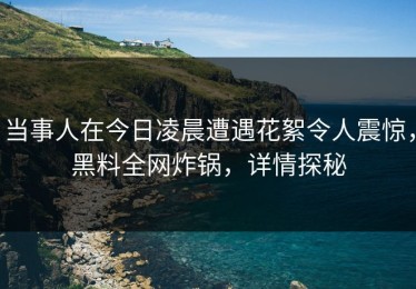 当事人在今日凌晨遭遇花絮令人震惊，黑料全网炸锅，详情探秘