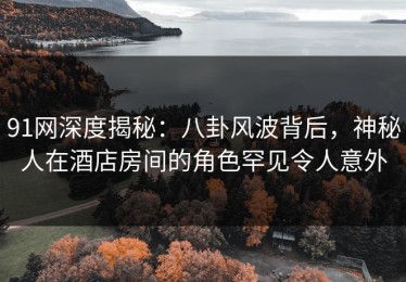91网深度揭秘：八卦风波背后，神秘人在酒店房间的角色罕见令人意外