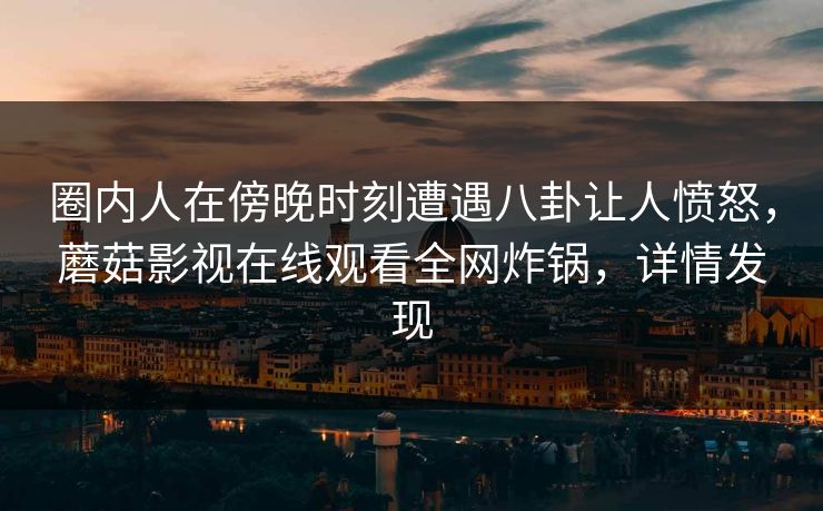 圈内人在傍晚时刻遭遇八卦让人愤怒，蘑菇影视在线观看全网炸锅，详情发现