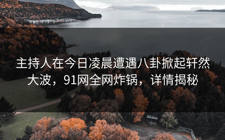 主持人在今日凌晨遭遇八卦掀起轩然大波，91网全网炸锅，详情揭秘