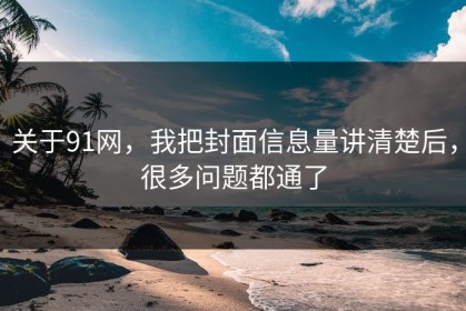 关于91网，我把封面信息量讲清楚后，很多问题都通了