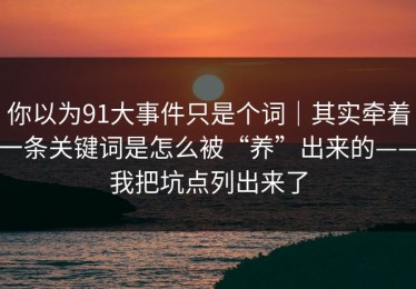你以为91大事件只是个词｜其实牵着一条关键词是怎么被“养”出来的——我把坑点列出来了
