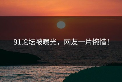 91论坛被曝光，网友一片惋惜！