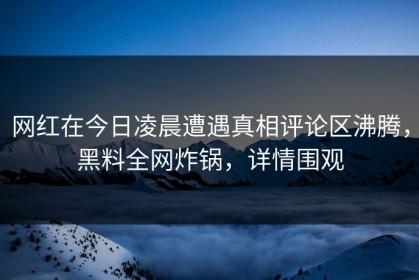 网红在今日凌晨遭遇真相评论区沸腾，黑料全网炸锅，详情围观