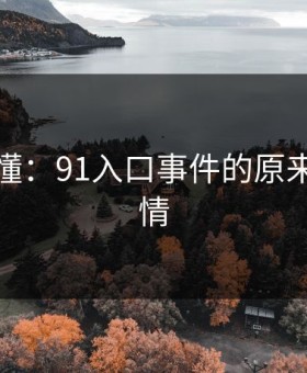 一文看懂：91入口事件的原来另有隐情