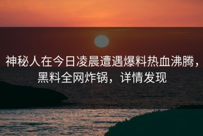 神秘人在今日凌晨遭遇爆料热血沸腾，黑料全网炸锅，详情发现