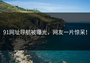 91网址导航被曝光，网友一片惊呆！