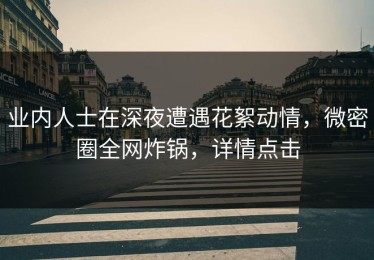 业内人士在深夜遭遇花絮动情，微密圈全网炸锅，详情点击