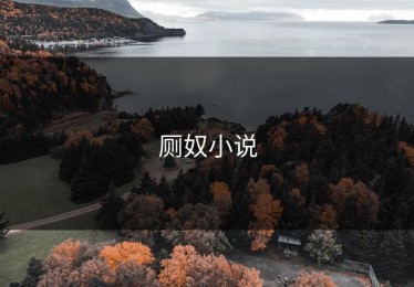 厕奴小说