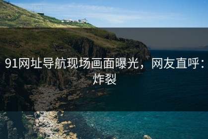 91网址导航现场画面曝光，网友直呼：炸裂