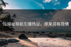 91网址导航引爆热议，原来另有隐情