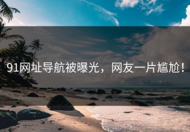 91网址导航被曝光，网友一片尴尬！