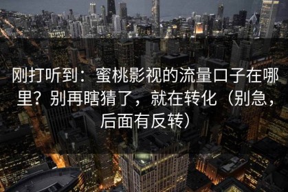 刚打听到：蜜桃影视的流量口子在哪里？别再瞎猜了，就在转化（别急，后面有反转）