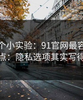 我做了个小实验：91官网最容易被误会的一点：隐私选项其实写得很清楚