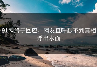91网终于回应，网友直呼想不到真相浮出水面