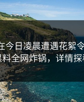 当事人在今日凌晨遭遇花絮令人震惊，黑料全网炸锅，详情探秘