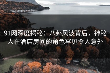 91网深度揭秘：八卦风波背后，神秘人在酒店房间的角色罕见令人意外