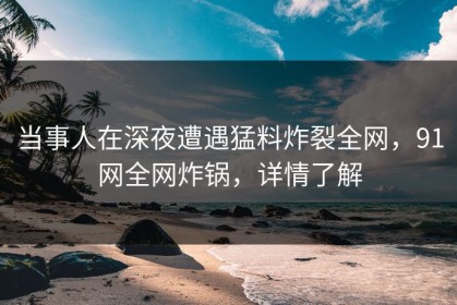 当事人在深夜遭遇猛料炸裂全网，91网全网炸锅，详情了解