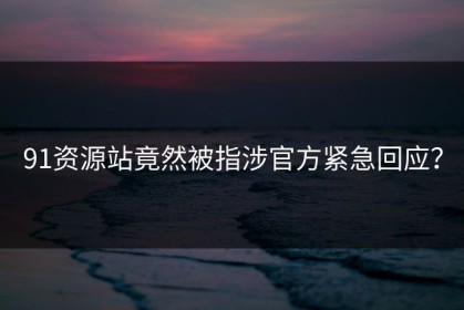 91资源站竟然被指涉官方紧急回应？