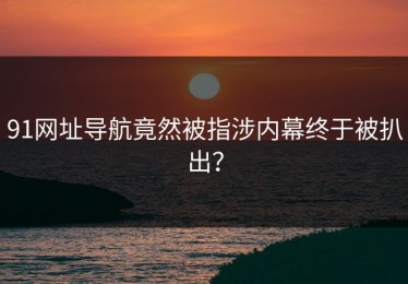 91网址导航竟然被指涉内幕终于被扒出？