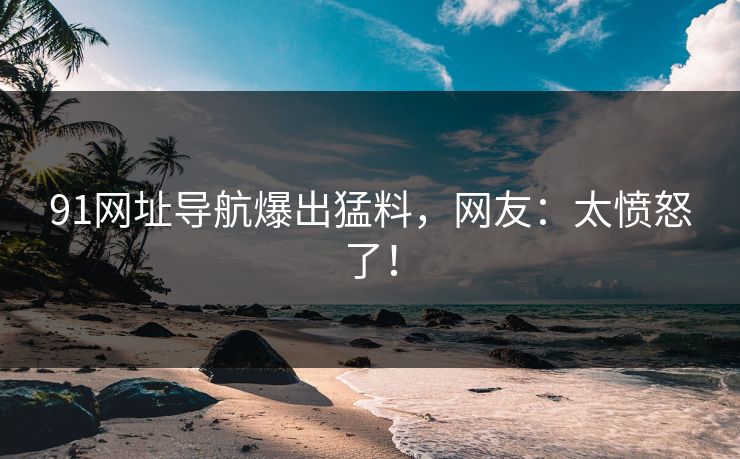 91网址导航爆出猛料，网友：太愤怒了！