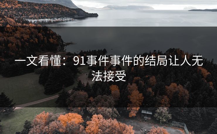 一文看懂：91事件事件的结局让人无法接受