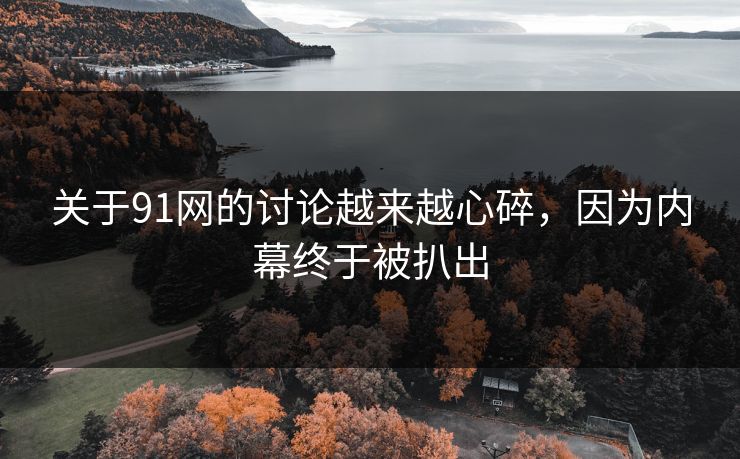 关于91网的讨论越来越心碎，因为内幕终于被扒出