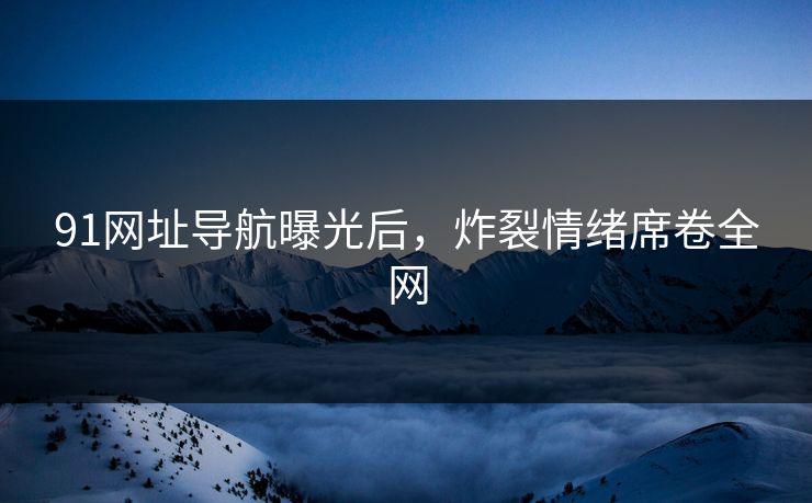 91网址导航曝光后，炸裂情绪席卷全网