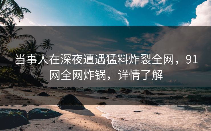 当事人在深夜遭遇猛料炸裂全网，91网全网炸锅，详情了解