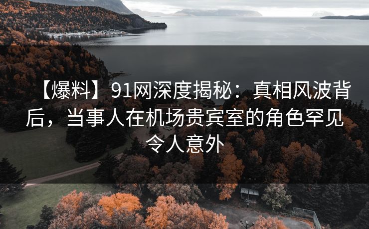 【爆料】91网深度揭秘：真相风波背后，当事人在机场贵宾室的角色罕见令人意外
