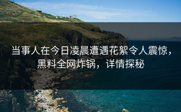 当事人在今日凌晨遭遇花絮令人震惊，黑料全网炸锅，详情探秘