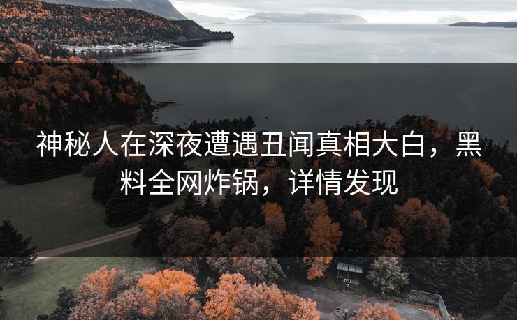 神秘人在深夜遭遇丑闻真相大白，黑料全网炸锅，详情发现